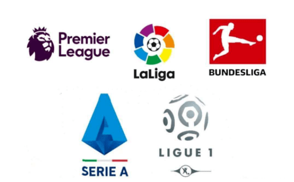 家和媒體指 家和媒體指